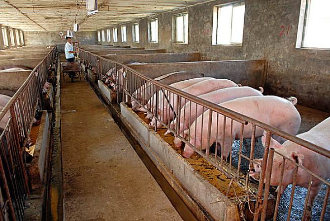 養豬場廢水處理